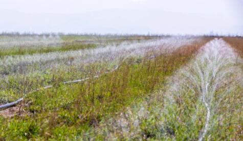 山西萬畝中藥材采用軟體集雨水窖+智能水肥一體化，增產(chǎn)顯著